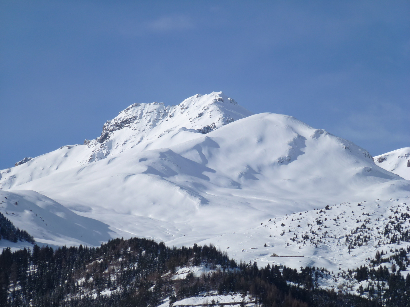 blau / weiß