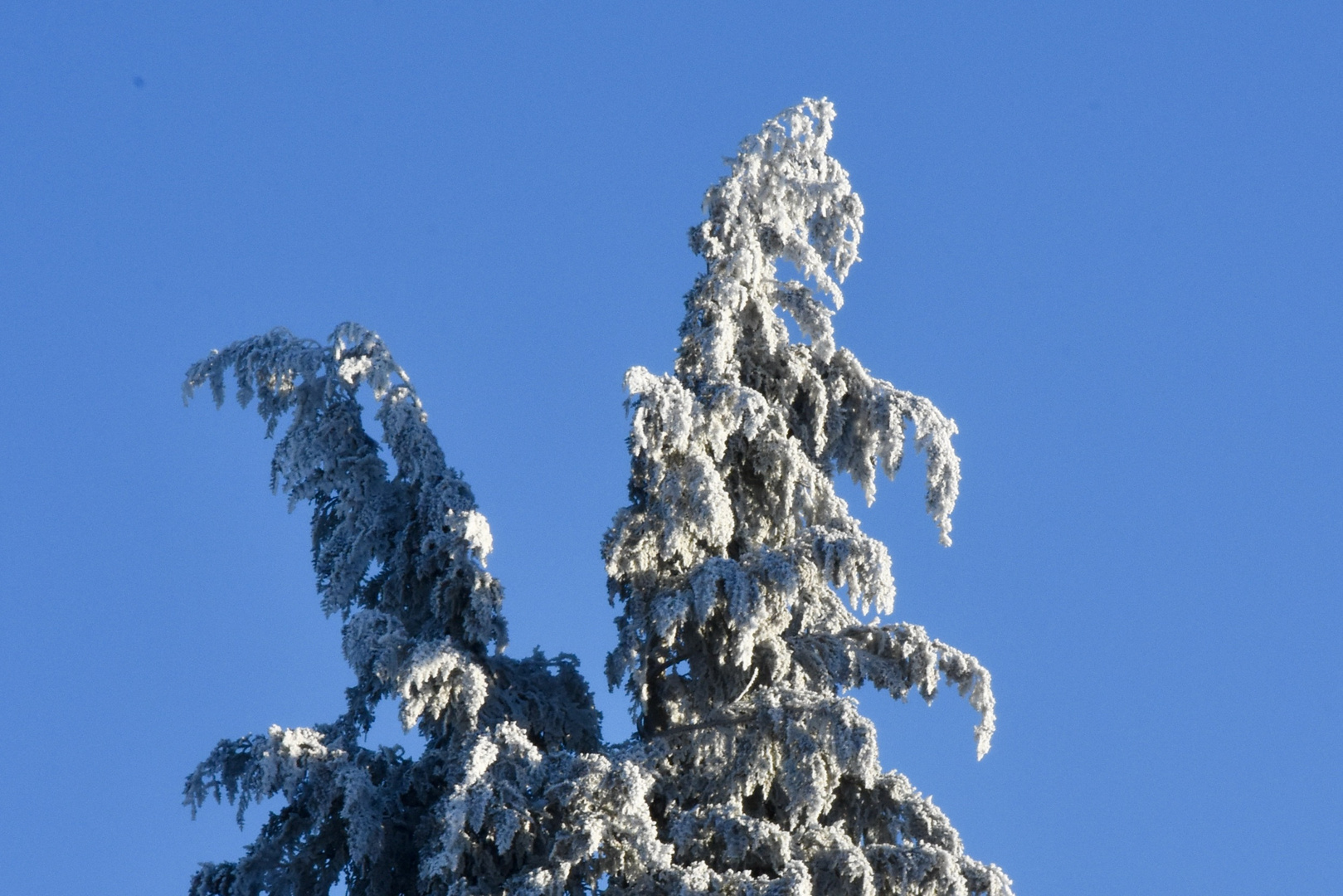 blau-weiss 