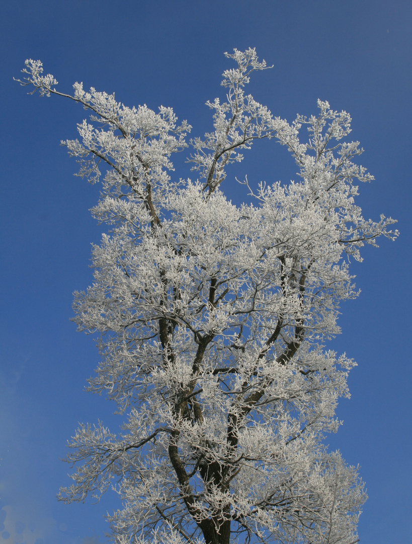 Blau-Weiß