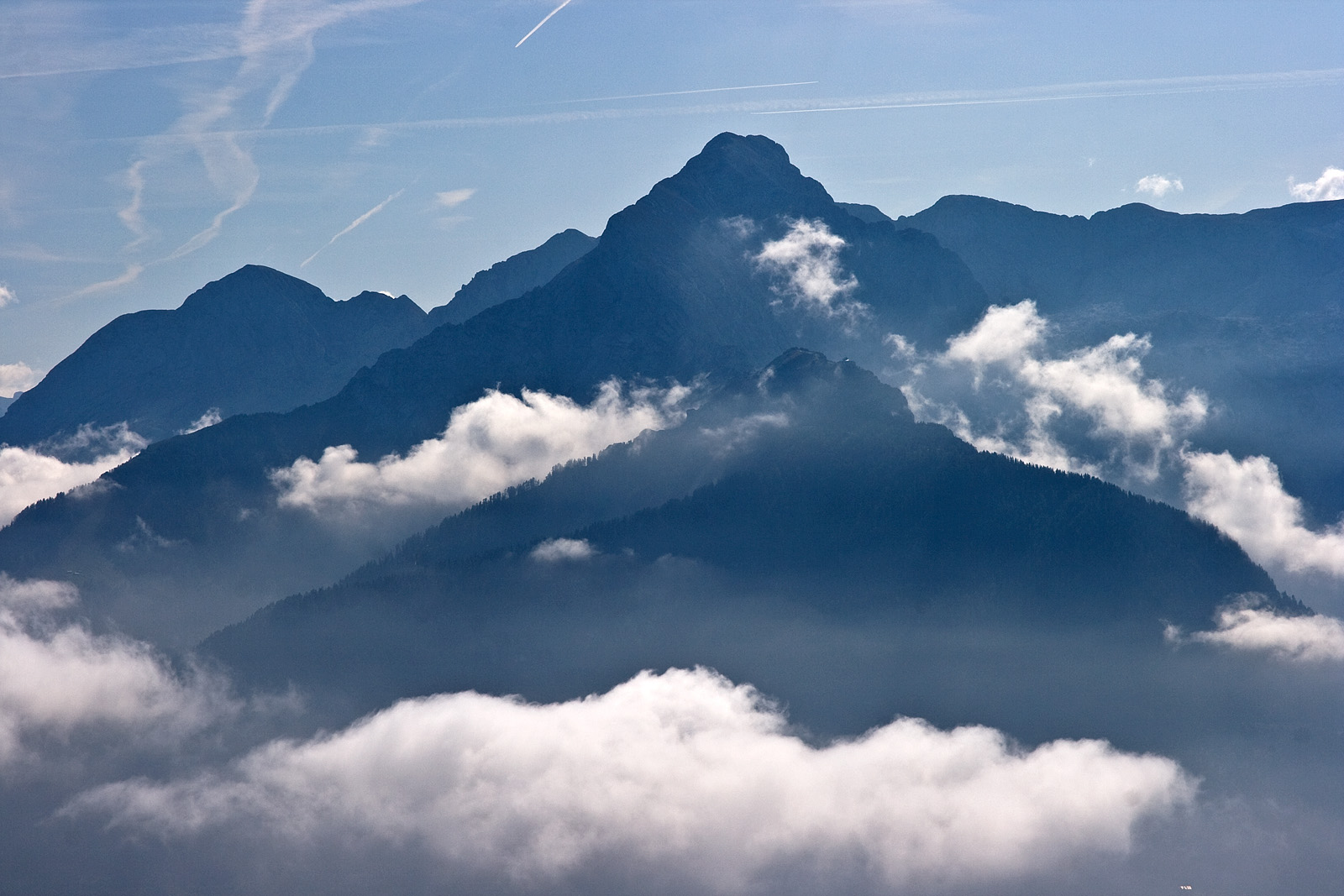 blau-weiß …