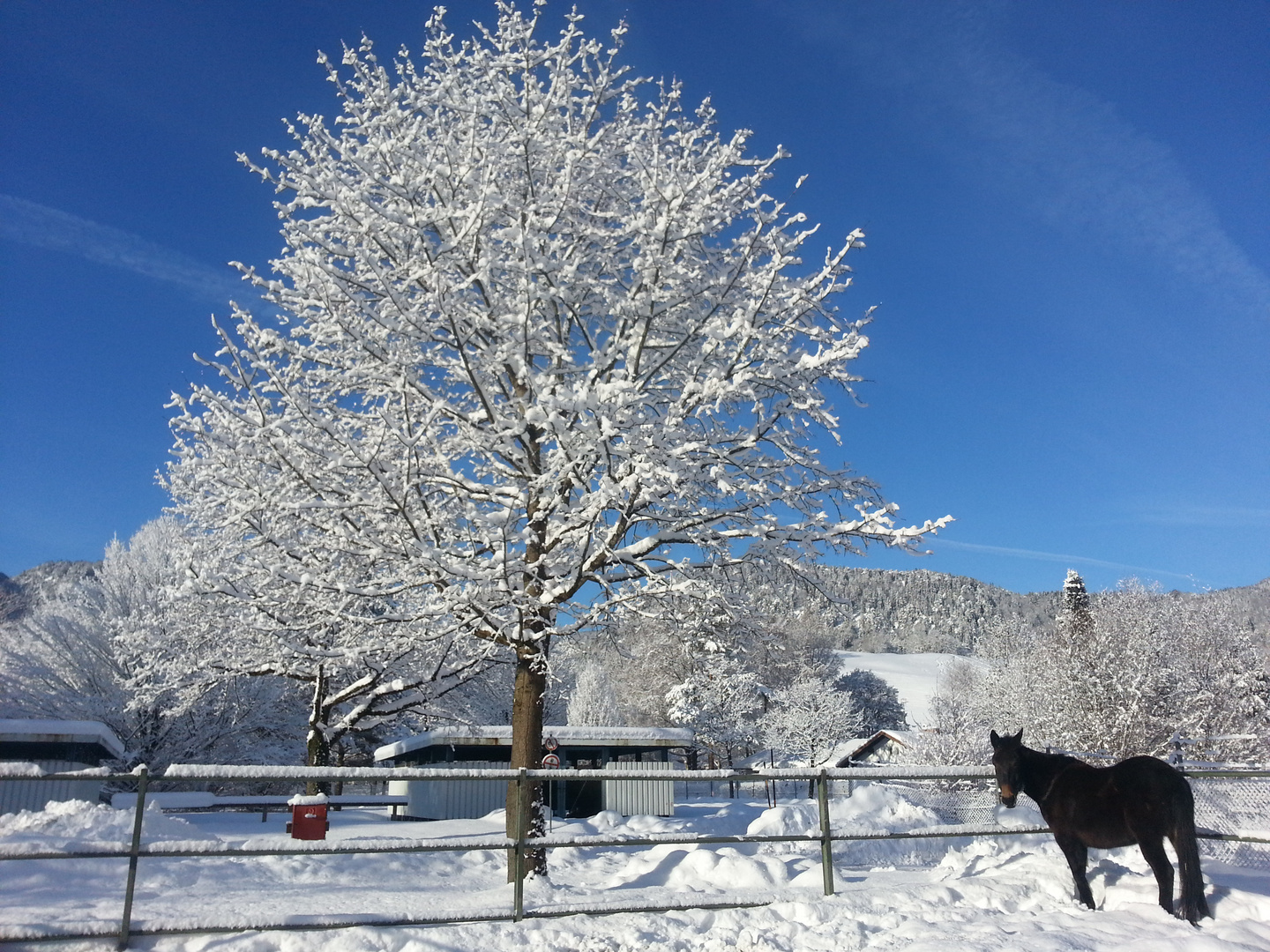 Blau Weiss