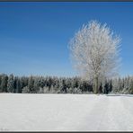 Blau-weiß...