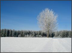 Blau-weiß...