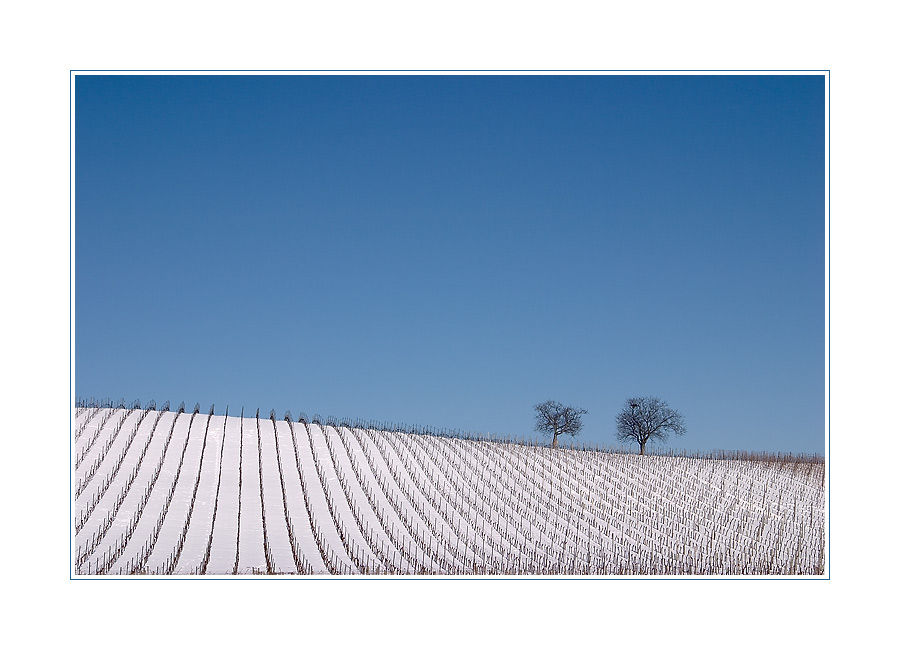 Blau - Weiß