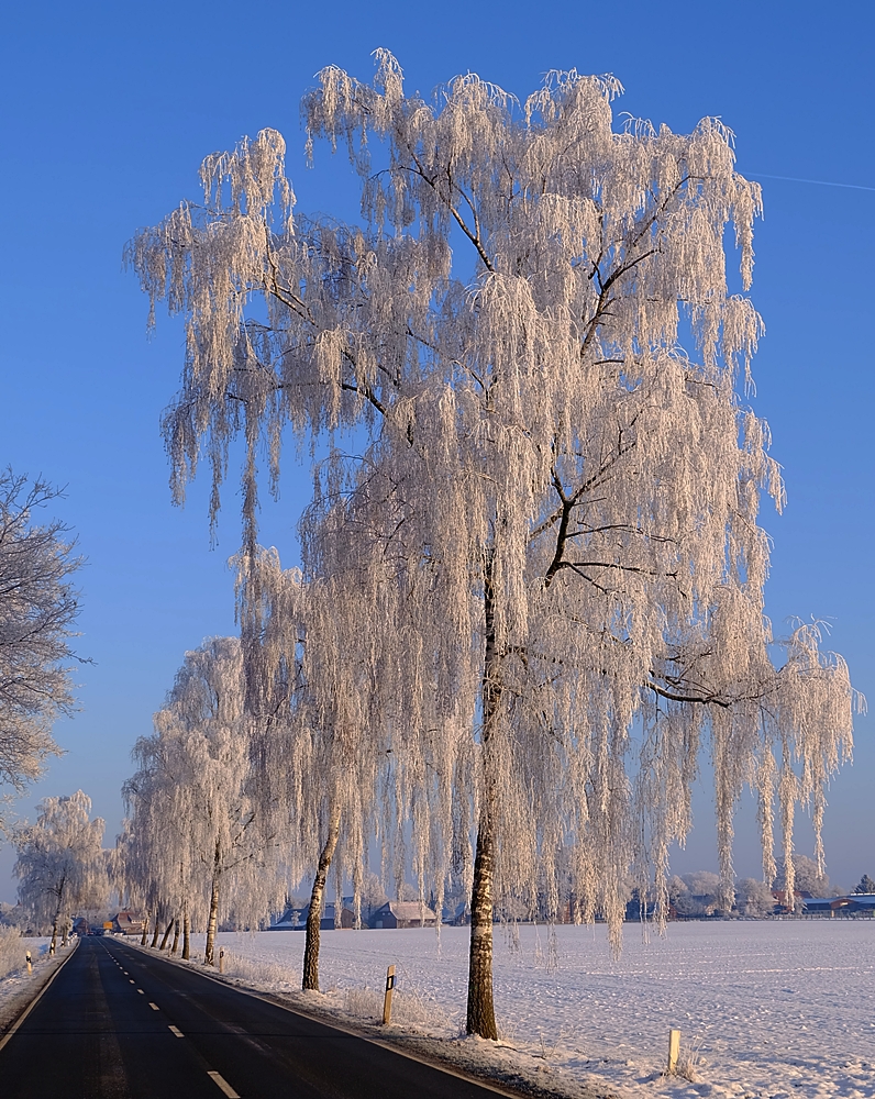 Blau-Weiß