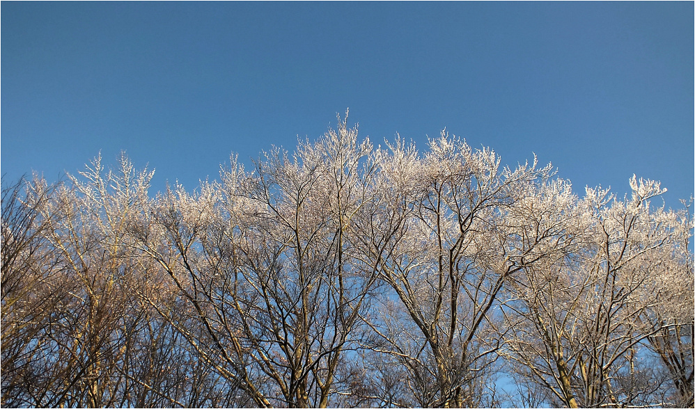 blau-weiß-eis