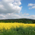 Blau - weiß - gelb - grün