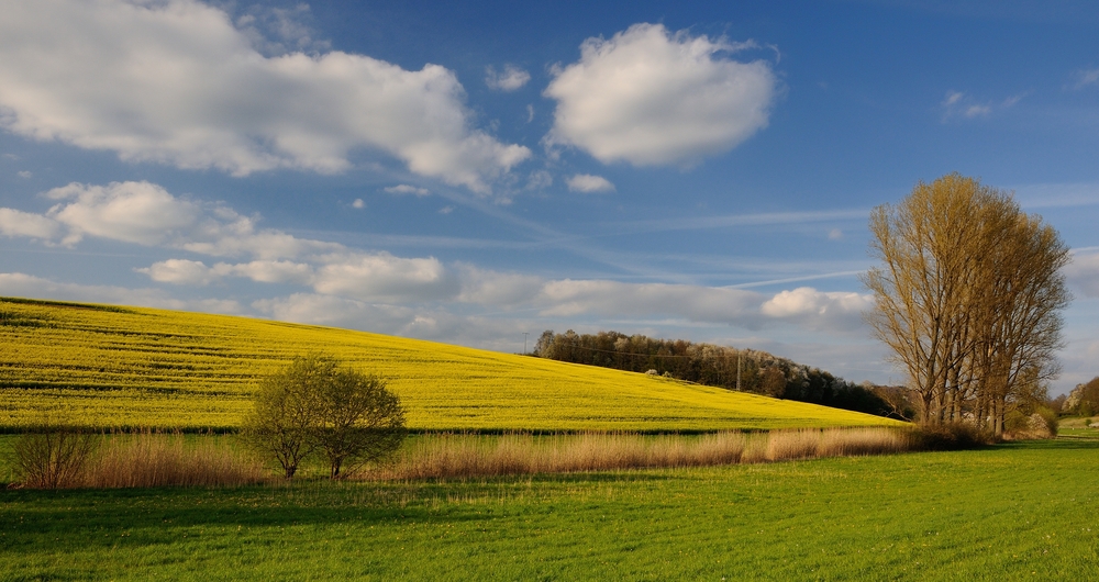 Blau, Weiß, Gelb und Grün, die Pfalz in der Abendsonne, es ist doch schön auf der Welt zu sein.