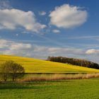 Blau, Weiß, Gelb und Grün, die Pfalz in der Abendsonne, es ist doch schön auf der Welt zu sein.