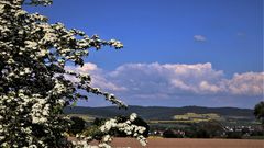 Blau-Weiß- Gelb zeigt sich der Solling