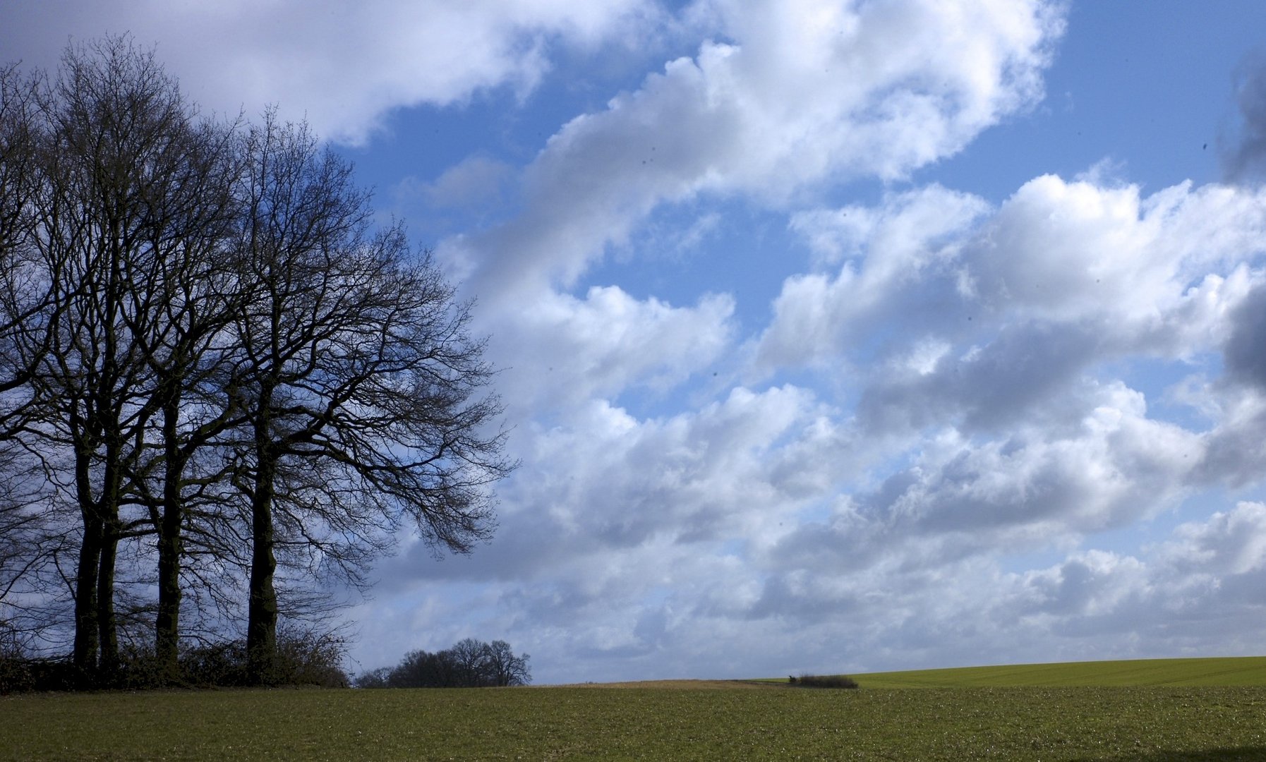 blau-weiß-grün