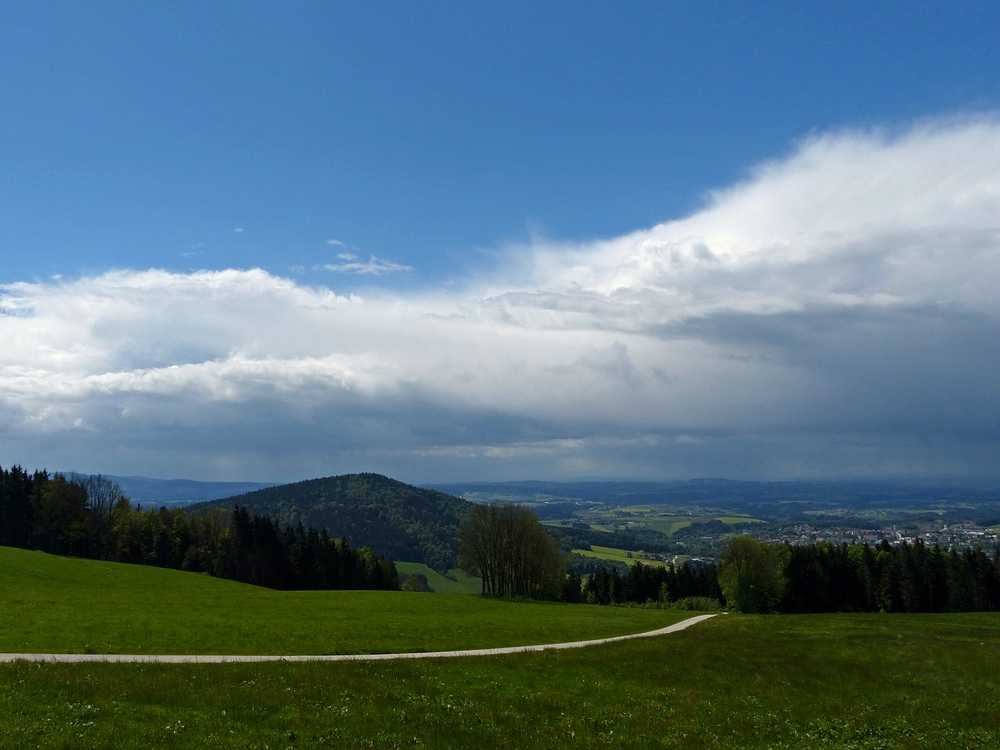 blau weiß grün