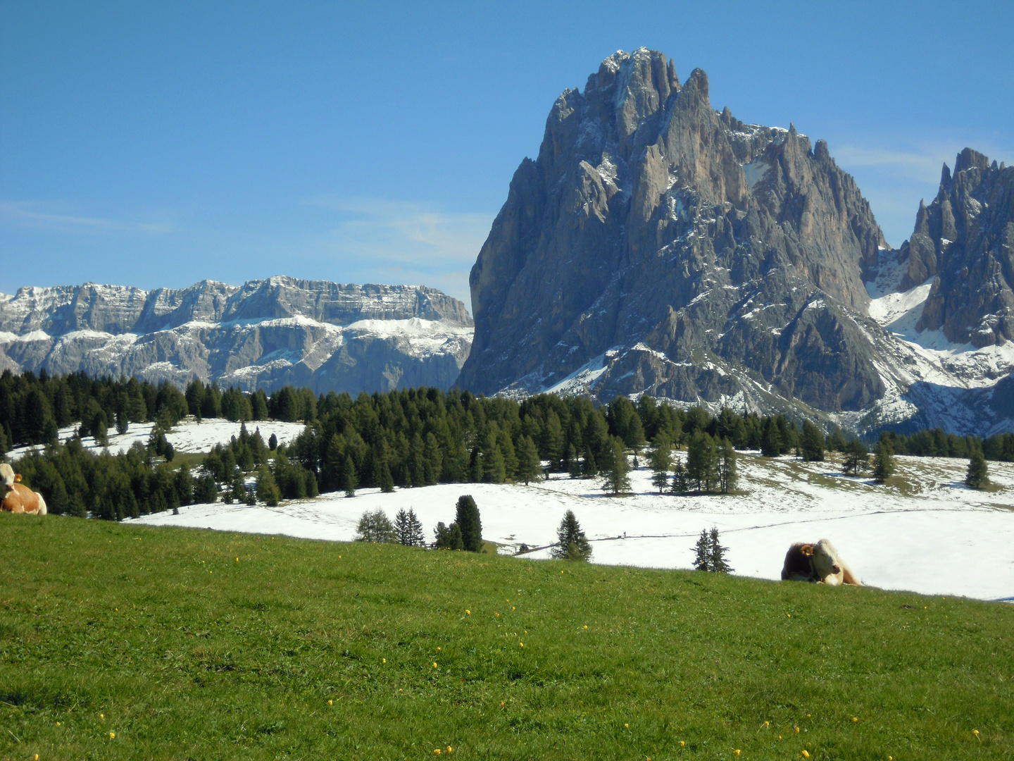 blau-weiß-grün