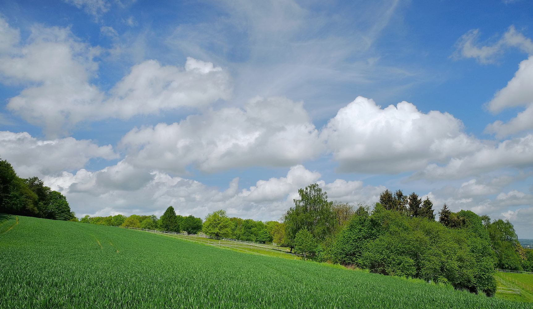 Blau, Weiß, Grün