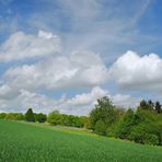 Blau, Weiß, Grün