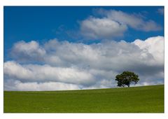 Blau + Weiß + Grün = Sommer