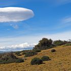 Blau-Weiß IV oder UFOs über Patagonien III