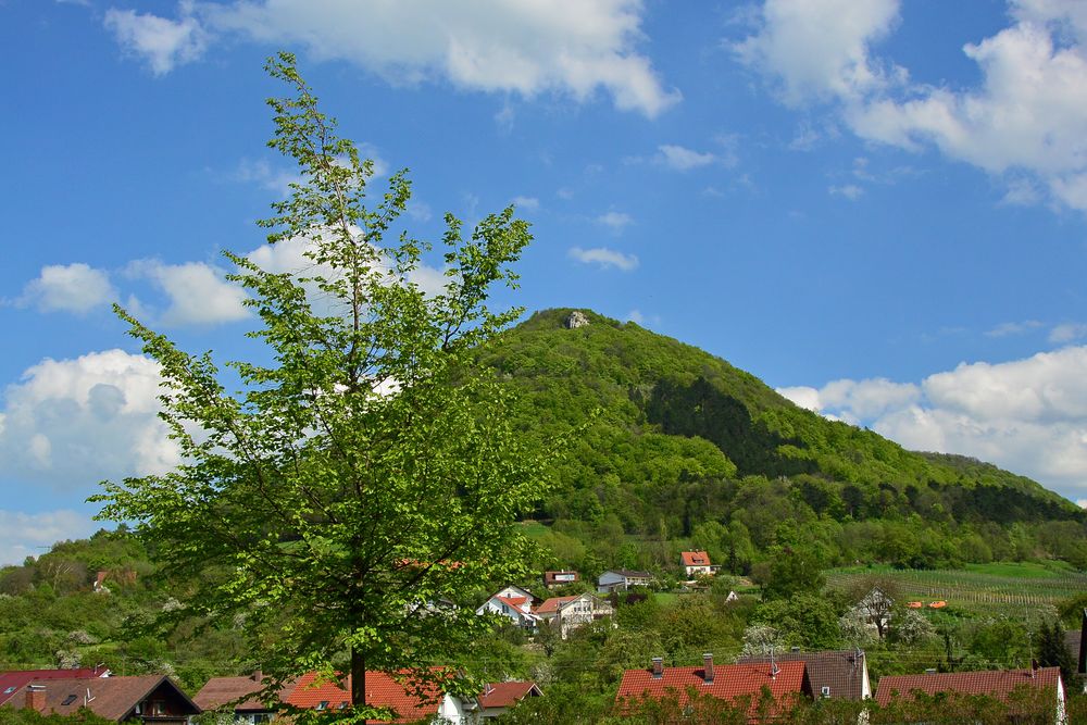 blau, weiß und grün