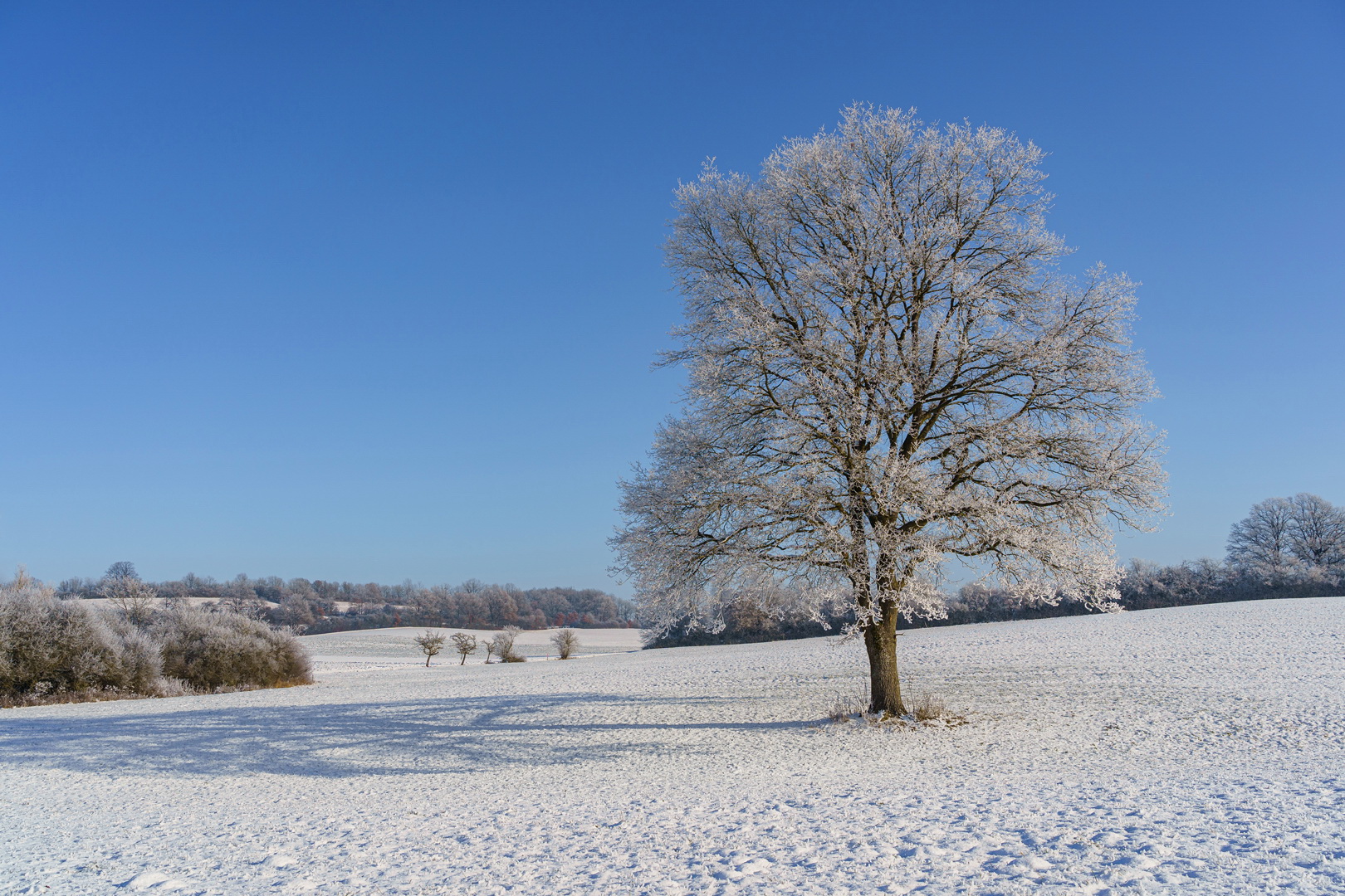 Blau Weiß - Werbung für den Winter