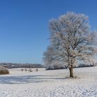 Blau Weiß - Werbung für den Winter