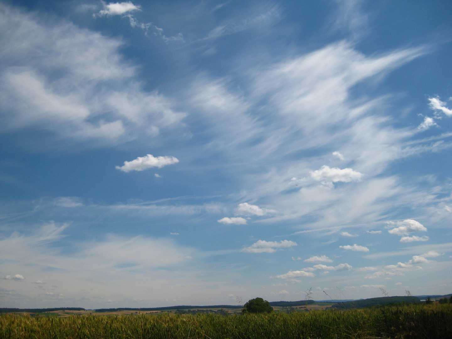 blau-weißer Himmel im Juni