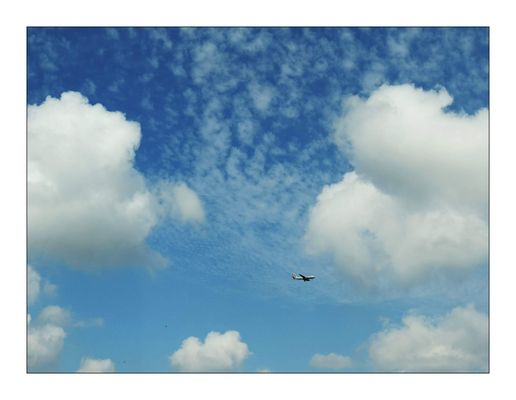 Blau weißer Parkour...