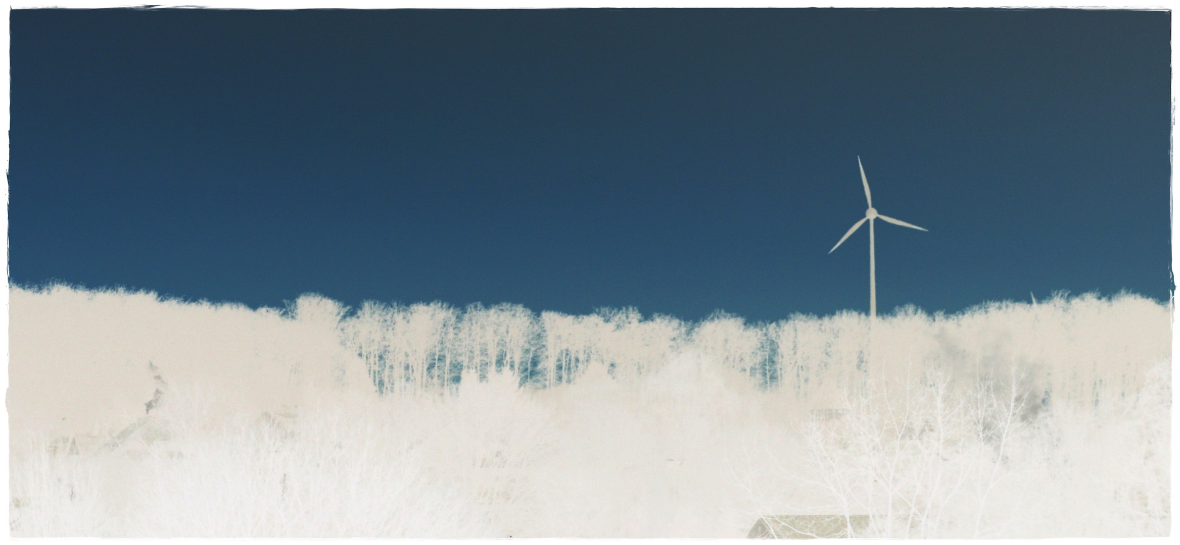 Blau weißer Wintertraum