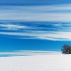 Blau weisses Bayern