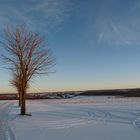 BLAU WEISS.Panasonic FZ28