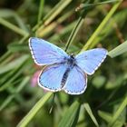 Blau wie der Himmel