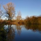 Blau wie der Himmel