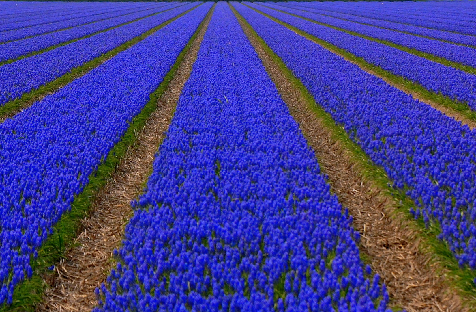 Blau, wohin das Auge reicht