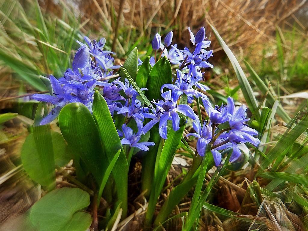 Blau zum Montag