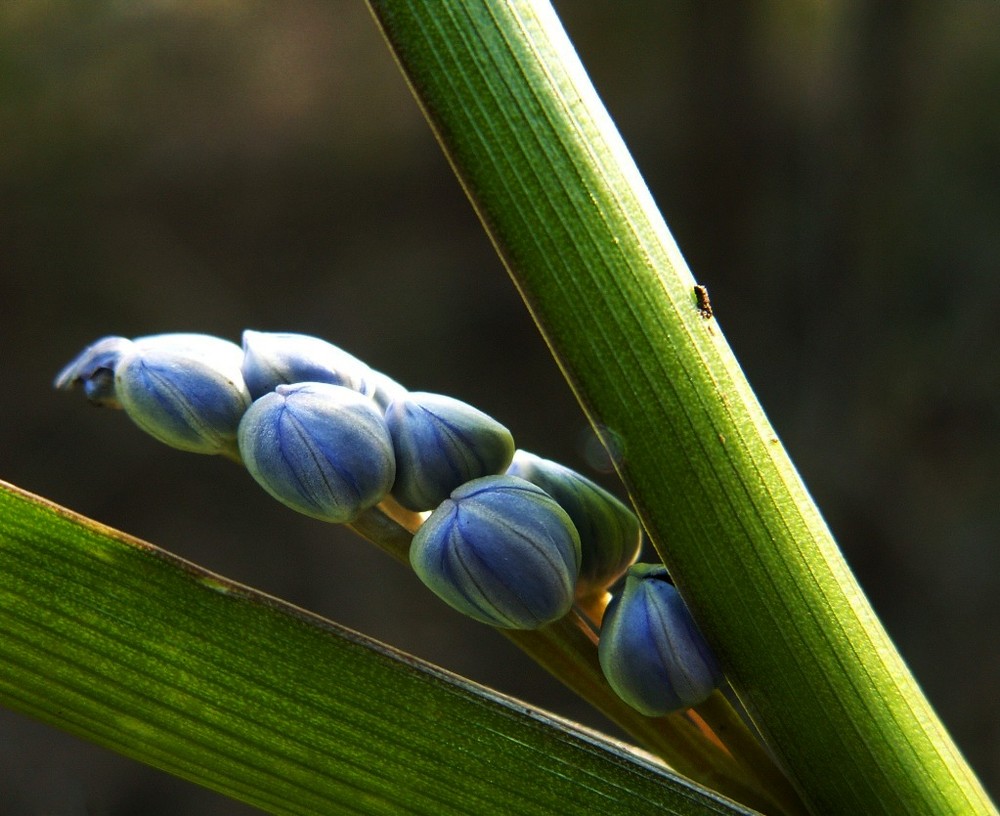 Blau zwischen Grün