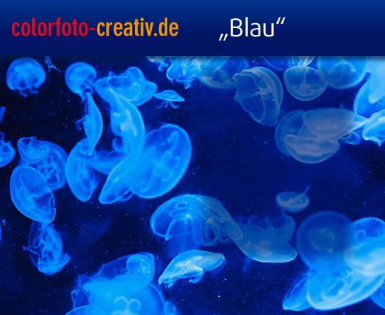 Blau1