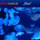 Blau1