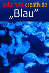 Blau2