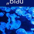 Blau2