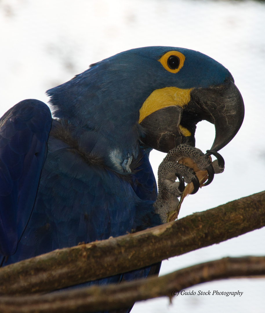 Blauara Zoo Wuppertal