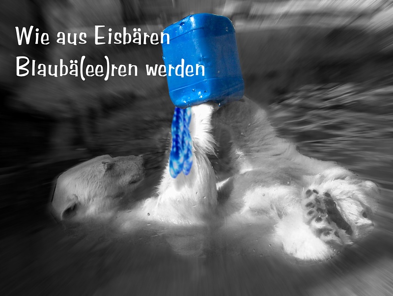 Blaubär