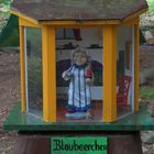 Blaubeerchen