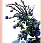 Blaubeeren