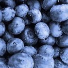 Blaubeeren 