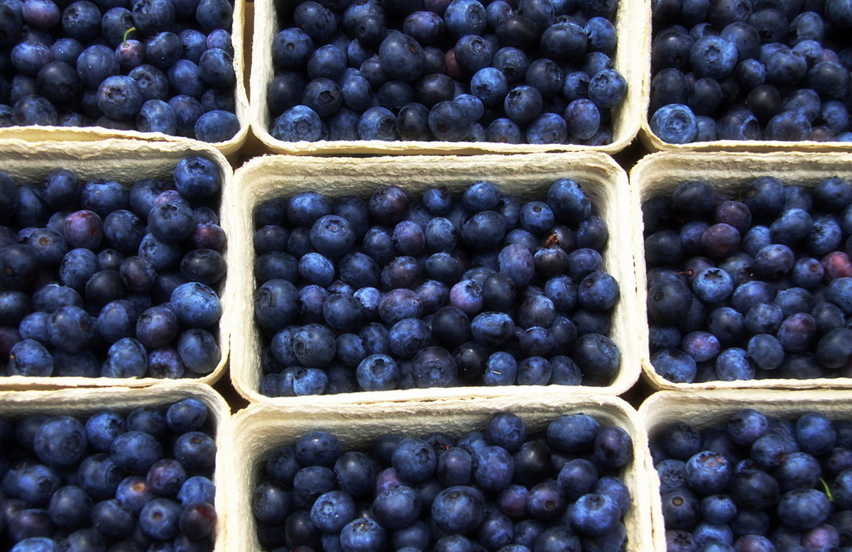 Blaubeeren