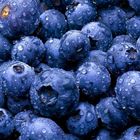 Blaubeeren