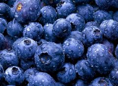 Blaubeeren