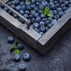 Blaubeeren