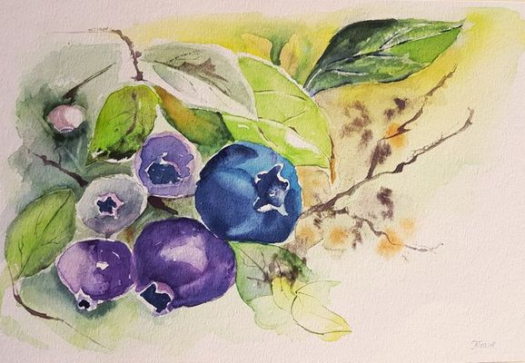 Blaubeeren