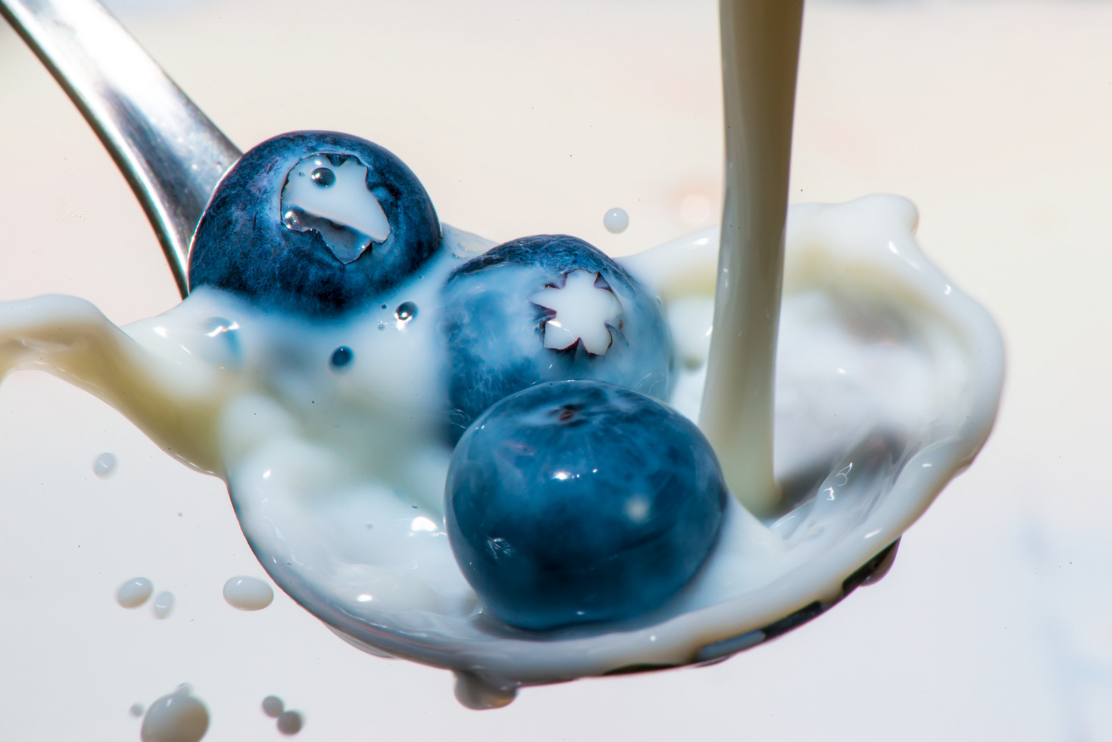 Blaubeeren mit Milch