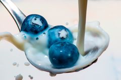 Blaubeeren mit Milch